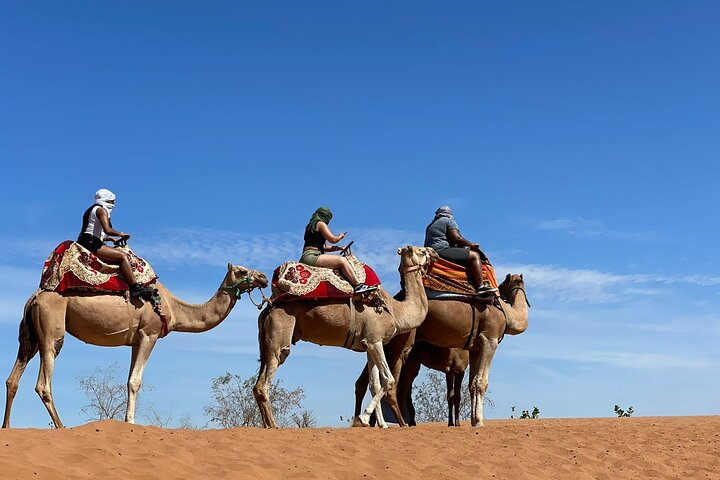 Camel Ride – Half Day