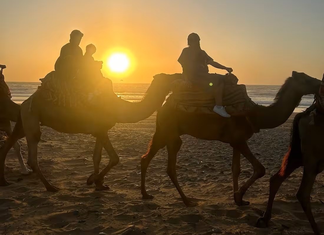Camel Ride + Barbecue Dinner