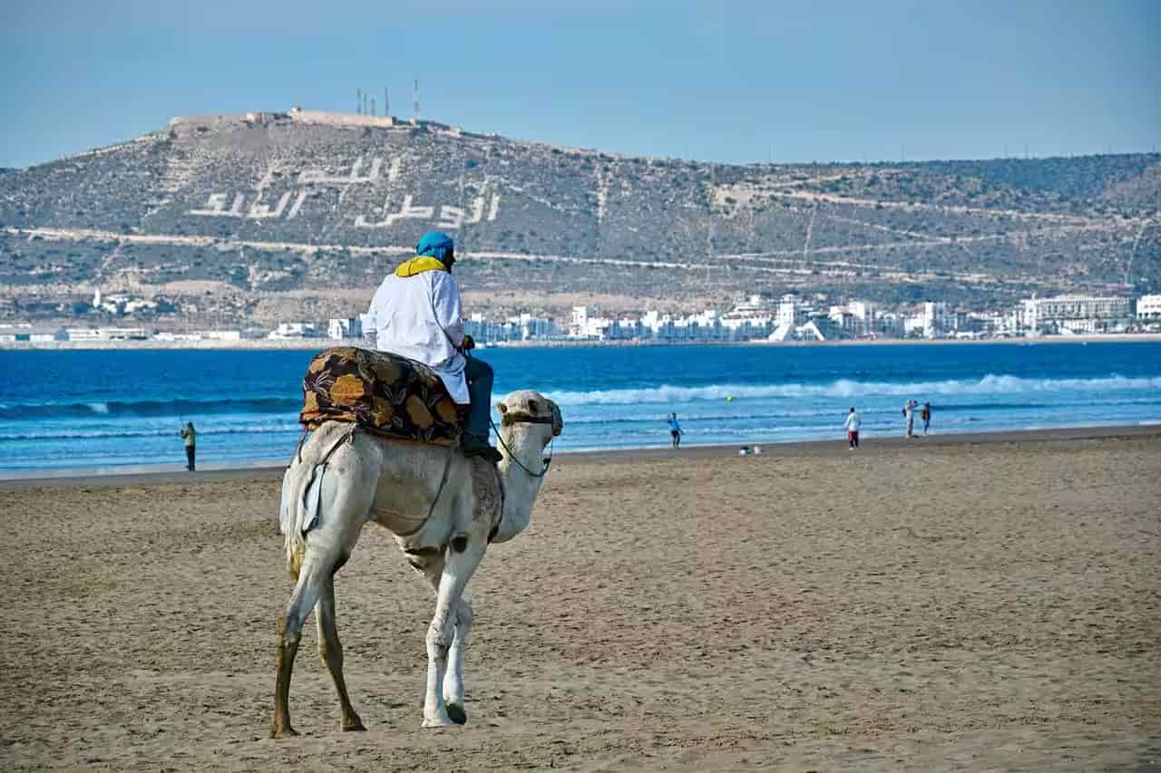 Agadir City Tour – 2 Hours